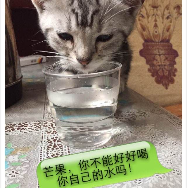 做个精仿韩国木浦国立大学文凭毕业证
